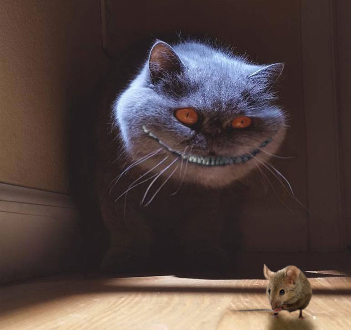 Funny photo series in Photoshop battle of photo-making experts (Part 1) Picture 41