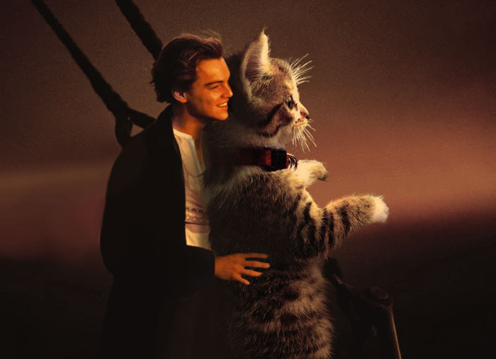 Funny photo series in Photoshop battle of photo-making experts (Part 1) Picture 45