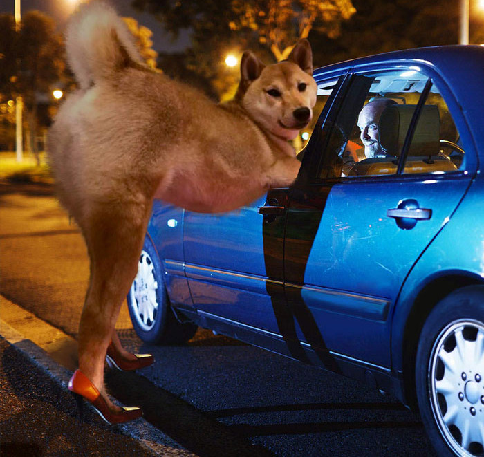 Funny photo series in Photoshop battle of photo-making experts (Part 1) Picture 47