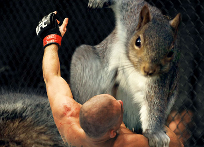 Funny photo series in Photoshop battle of photo-making experts (Part 1) Picture 49