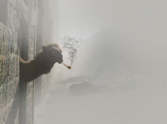 Funny photo series in Photoshop battle of photo-making experts (Part 5) Picture 10