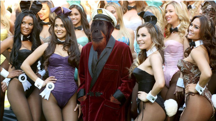 Funny photo series in Photoshop battle of photo-making experts (Part 5) Picture 14