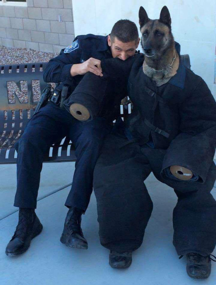 Funny photo series in Photoshop battle of photo-making experts (Part 5) Picture 17