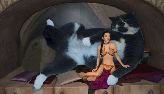 Funny photo series in Photoshop battle of photo-making experts (Part 5) Picture 20