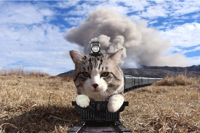 Funny photo series in Photoshop battle of photo-making experts (Part 5) Picture 24