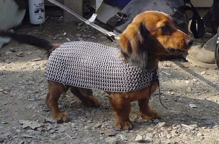 Funny photo series in Photoshop battle of photo-making experts (Part 5) Picture 43