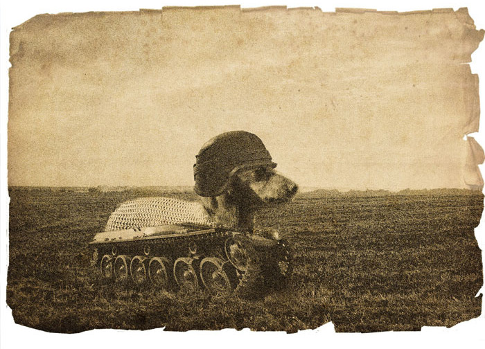 Funny photo series in Photoshop battle of photo-making experts (Part 5) Picture 44