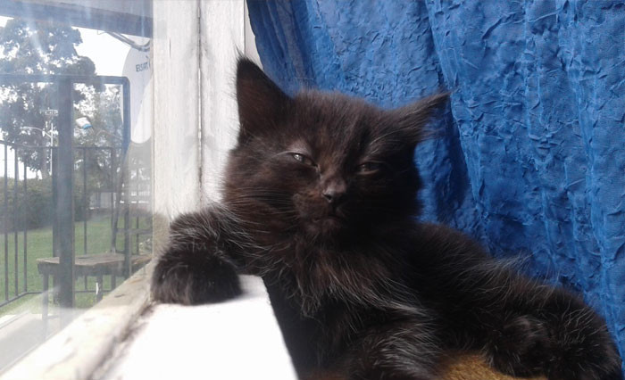 Funny photo series in Photoshop battle of photo-making experts (Part 5) Picture 57