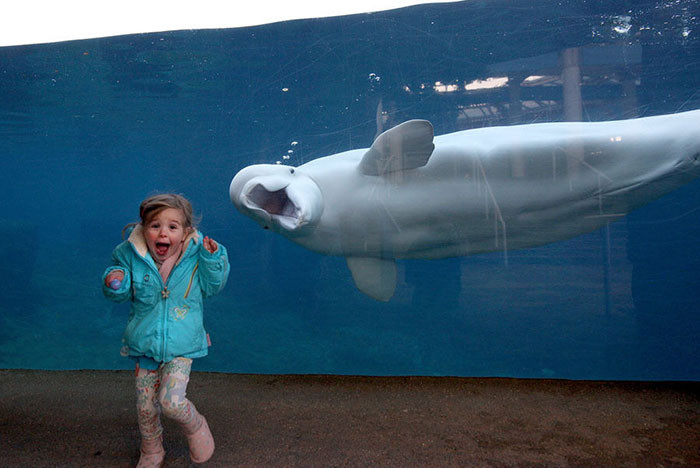 Funny series in Photoshop battle of photo-making experts (Part 3) Picture 13