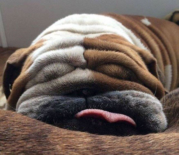 Funny series in Photoshop battle of photo-making experts (Part 3) Picture 21