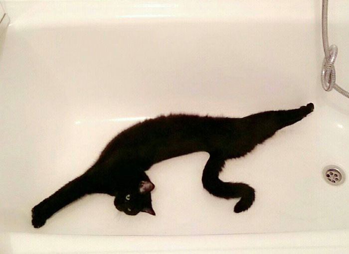 Funny series in Photoshop battle of photo-making experts (Part 3) Picture 27