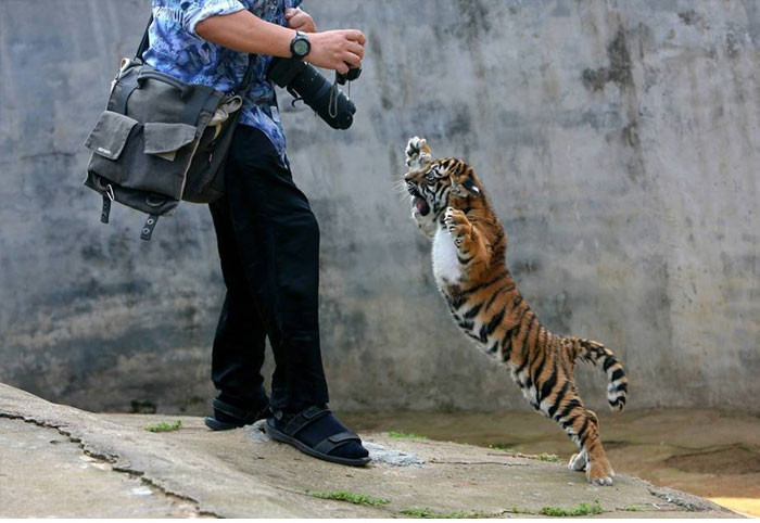 Funny series in Photoshop battle of photo-making experts (Part 3) Picture 31