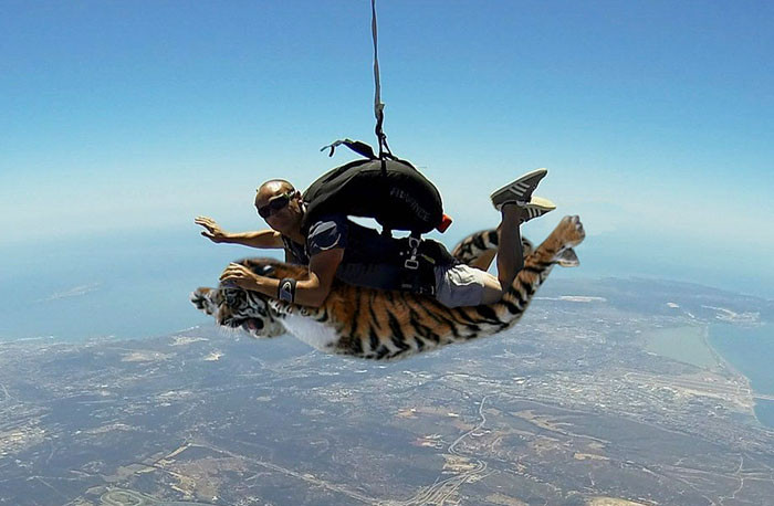 Funny series in Photoshop battle of photo-making experts (Part 3) Picture 32