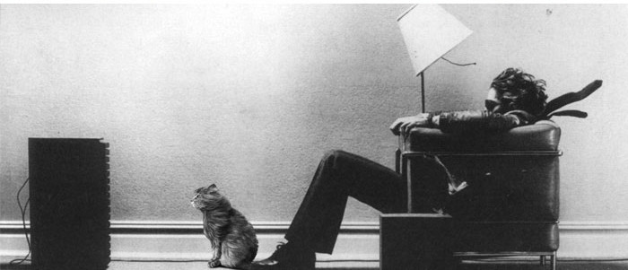 Funny series in Photoshop battle of photo-making experts (Part 3) Picture 36