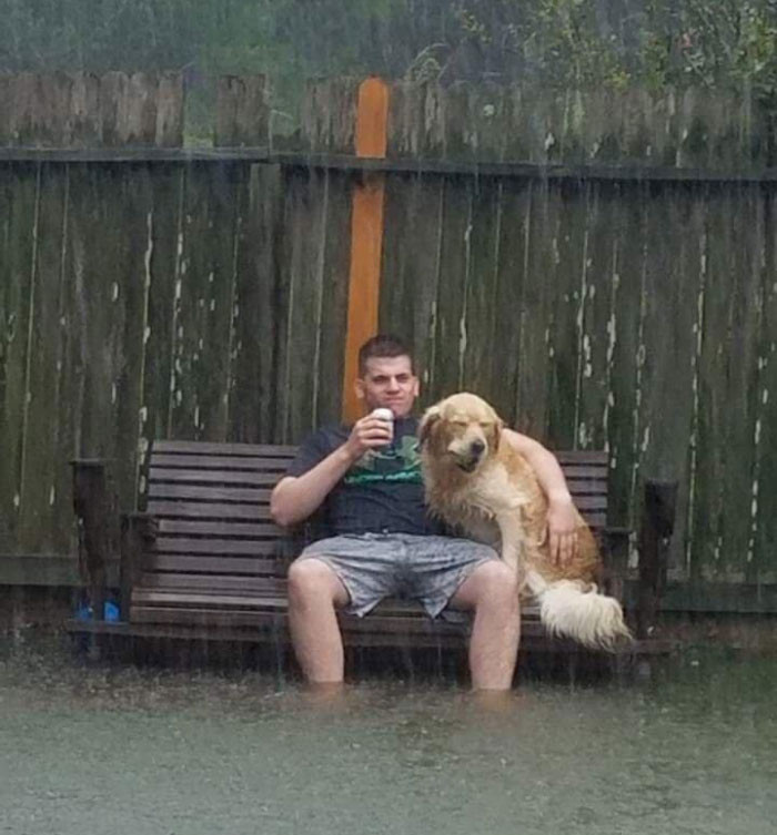 Funny series in Photoshop battle of photo-making experts (Part 3) Picture 39