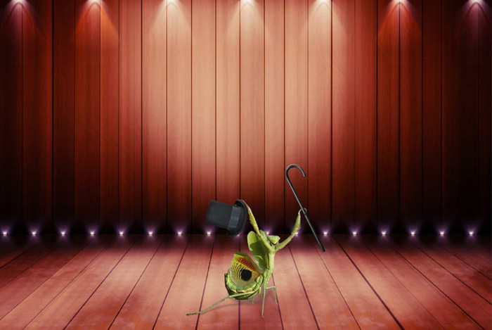 Funny series in Photoshop battle of photo-making experts (Part 3) Picture 4