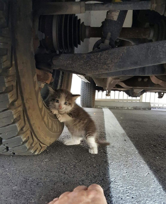 Funny series in Photoshop battle of photo-making experts (Part 3) Picture 52