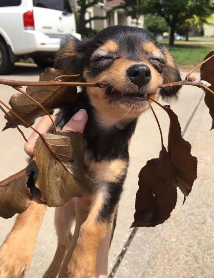 Funny series in Photoshop battle of photo-making experts (Part 3) Picture 56