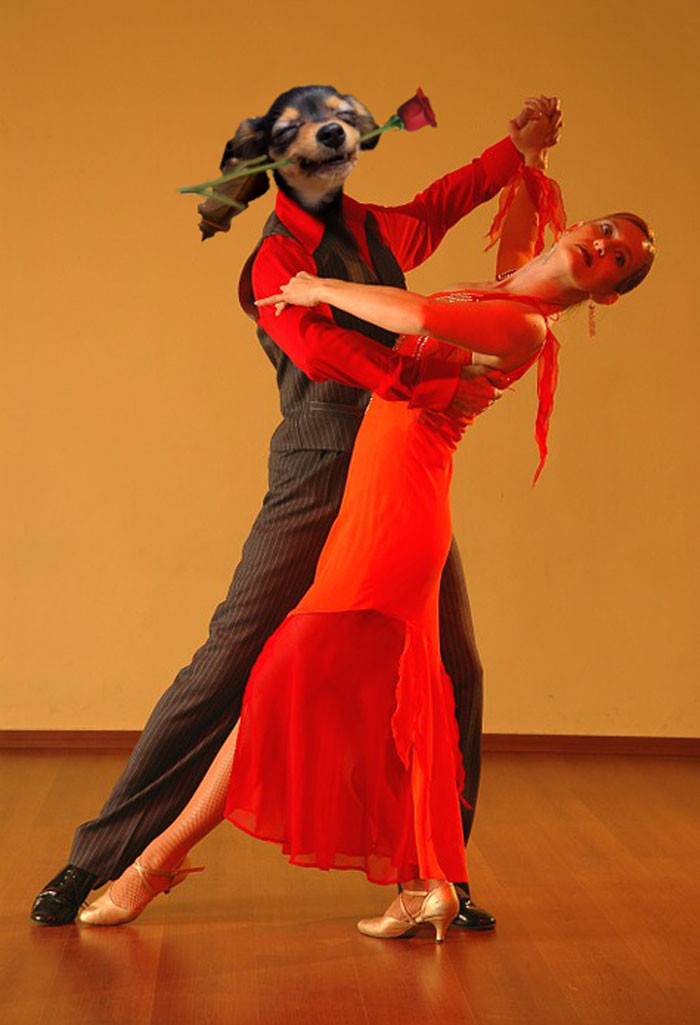 Funny series in Photoshop battle of photo-making experts (Part 3) Picture 57