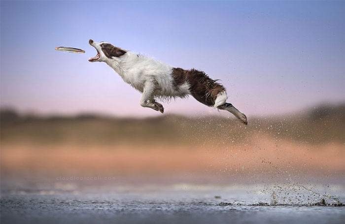 Funny series in Photoshop battle of photo-making experts (Part 3) Picture 7