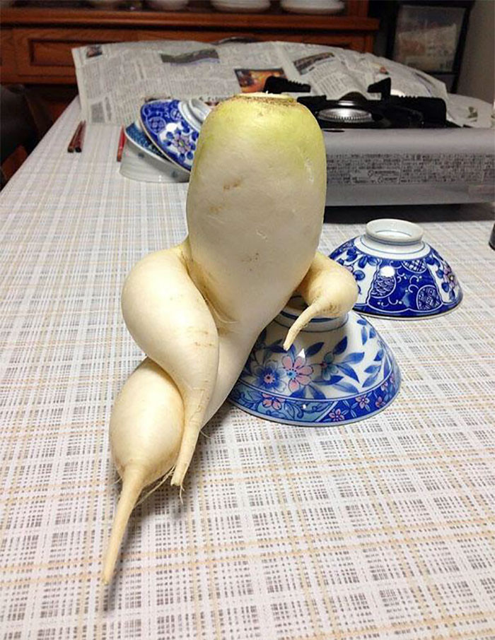 Funny series in Photoshop battle of photo-making experts (Part 3) Picture 9