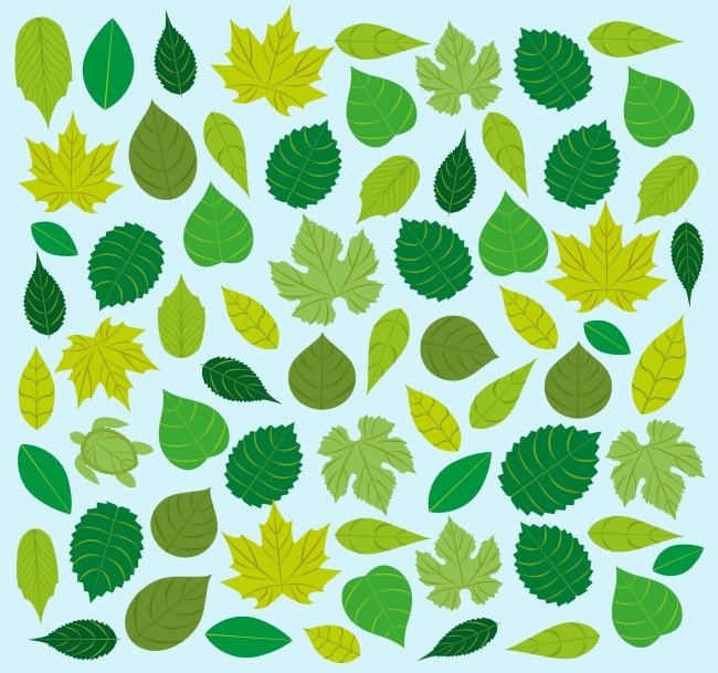 Funny test: Are you an extrovert or introvert? Picture 7