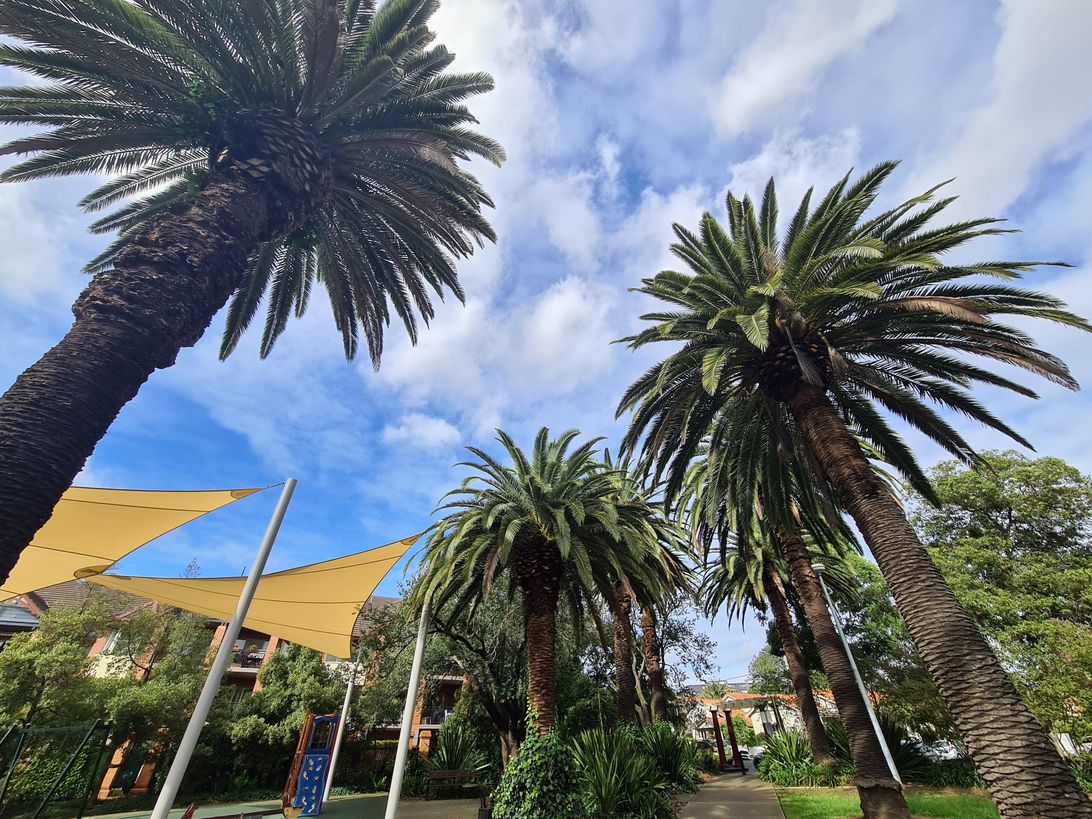 Galaxy S20 Ultra vs. Pixel 4: Which phone camera is better Picture 7