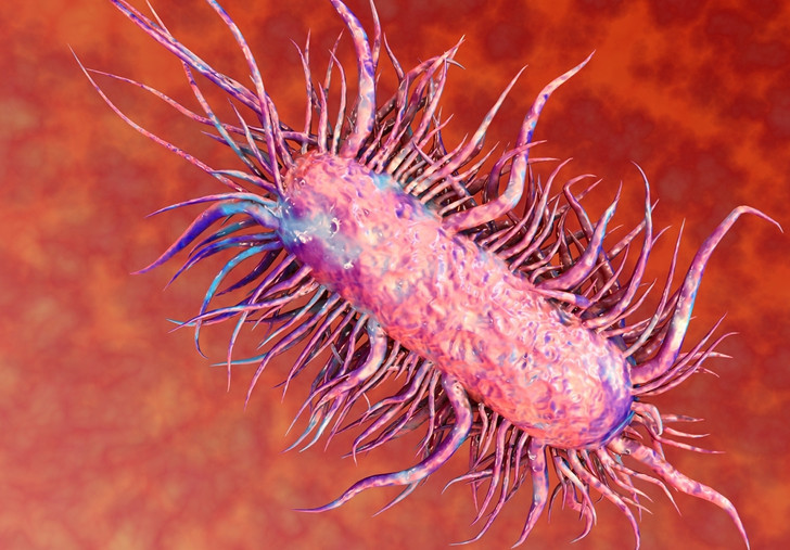 Get fever with new technology to identify E-coli bacteria Picture 1