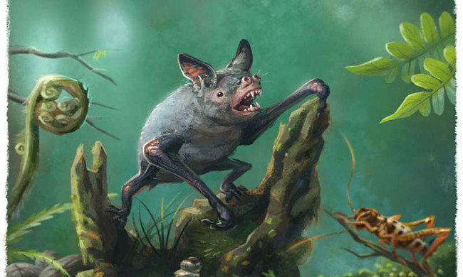 Giant bat fossils have been discovered Picture 1
