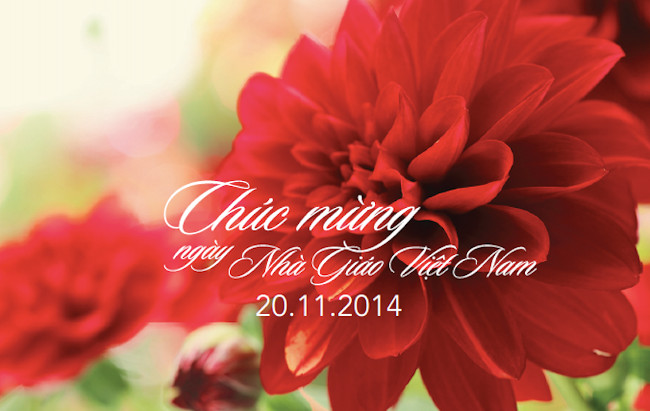 Good and unique jokes for the newspaper on November 20 Picture 3