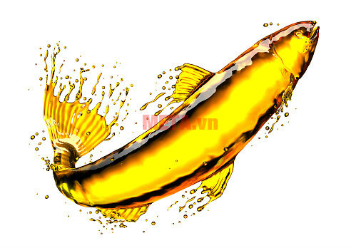 Good fish oil, Uses and How to drink Picture 2