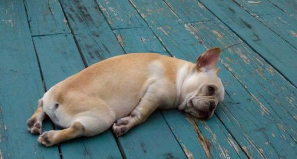 Good for those depressed, tired life Picture 6