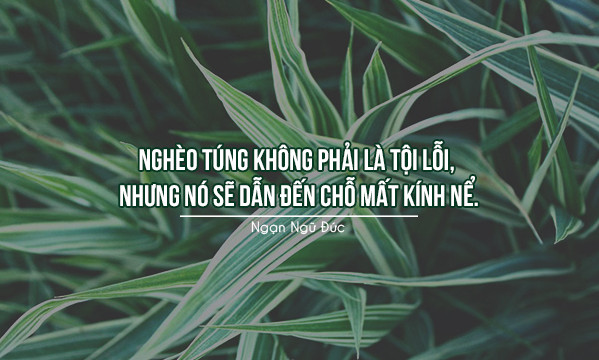 Good quotations about money and wealth Picture 3