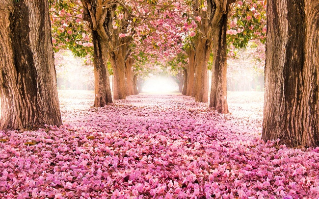 Good quotes from William Arthur Ward Picture 4