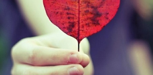 Good status and meaning about couple love Picture 7