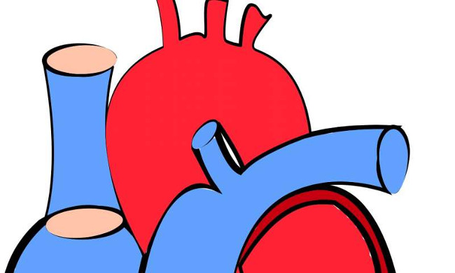 Google AI can diagnose a patient's cardiovascular condition by scanning the retina image Picture 3