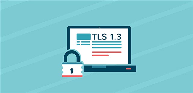 Google launched Android Q Beta 3 with many notable additions Picture 5