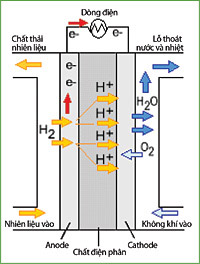 Green technology Picture 4