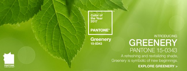 Greenery - The main color of green color of 2017 Picture 3