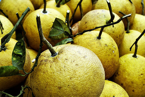 Guide the way, buy holiday gifts, have fun when going to Hung Temple - Phu Tho Picture 7