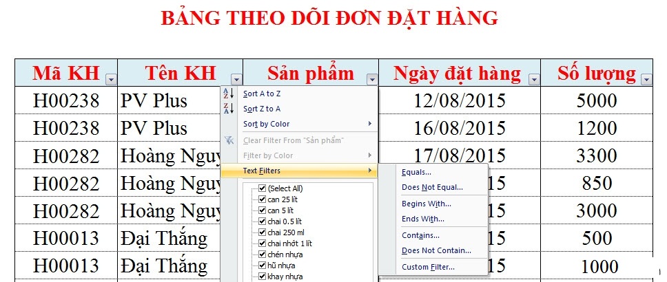 Guide to Automatic Filter and Filter detailed data in excel Picture 11