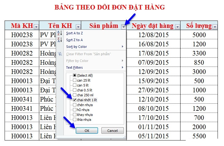 Guide to Automatic Filter and Filter detailed data in excel Picture 4