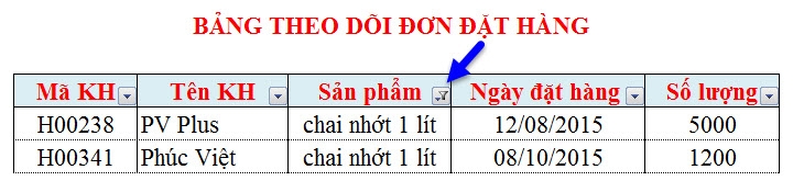 Guide to Automatic Filter and Filter detailed data in excel Picture 5