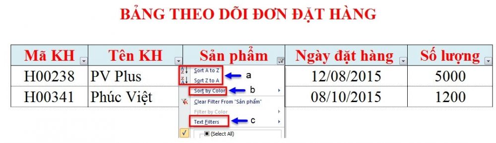 Guide to Automatic Filter and Filter detailed data in excel Picture 6
