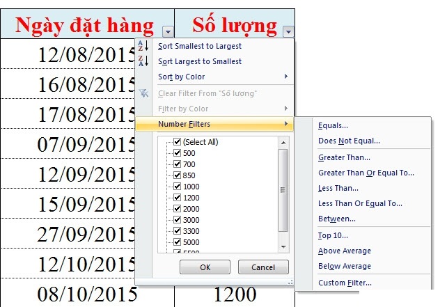 Guide to Automatic Filter and Filter detailed data in excel Picture 8