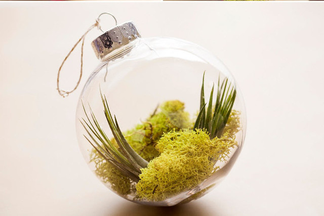 Guide to decorate the Christmas balls more brilliant Picture 11