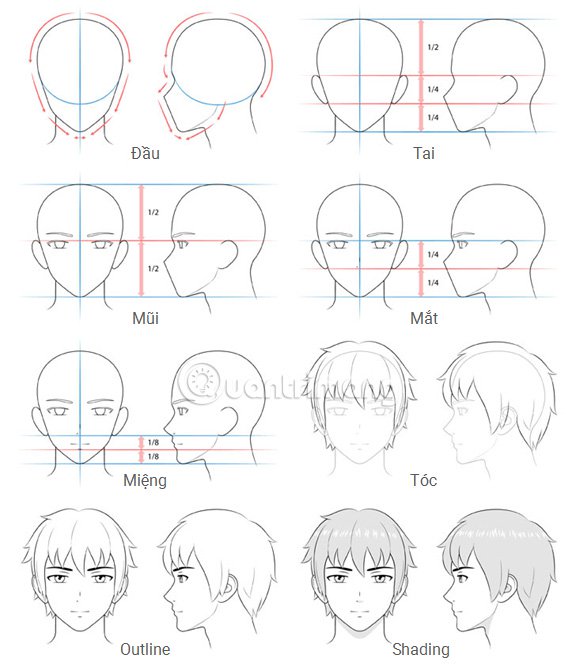 Picture 1 of Guide to drawing male heads and face characters