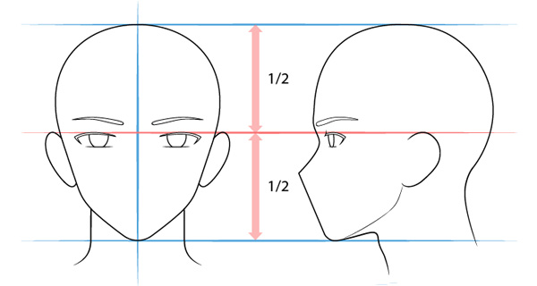 Guide To Drawing Male Heads And Face Characters