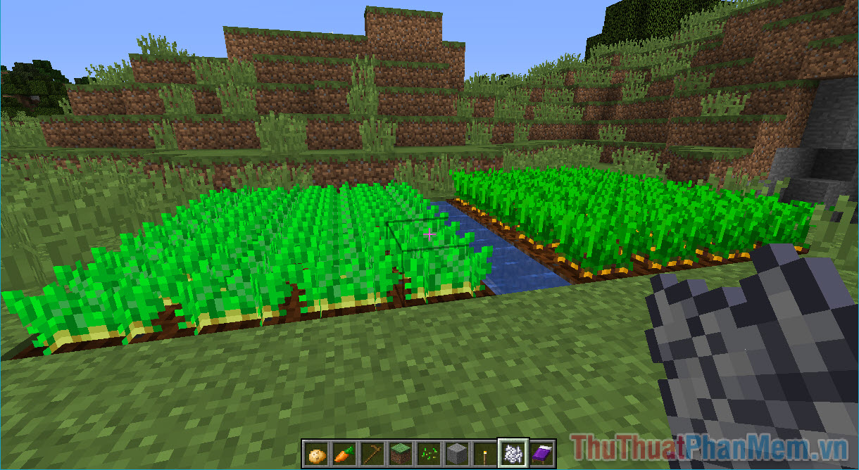 Guide to plant trees in Minecraft Picture 9