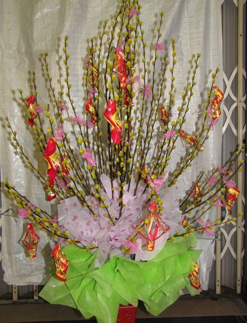 Guide to plug unique spring bud buds to play Tet Picture 2